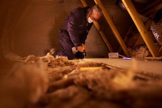 Best Insulation Installation Services in Ogden, UT