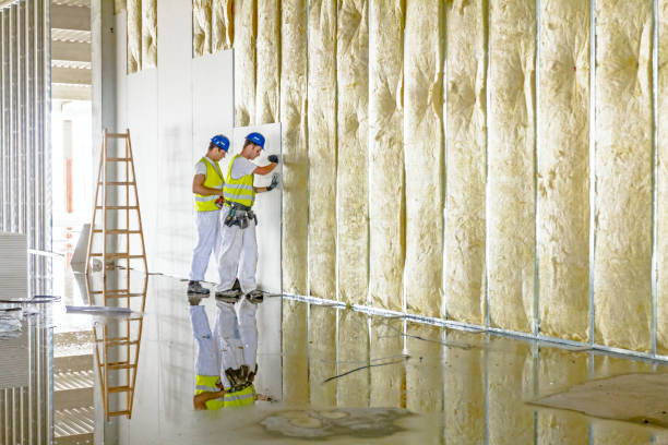 Best Commercial Insulation in Ogden, UT